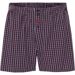 Men Striped Cotton Underwear